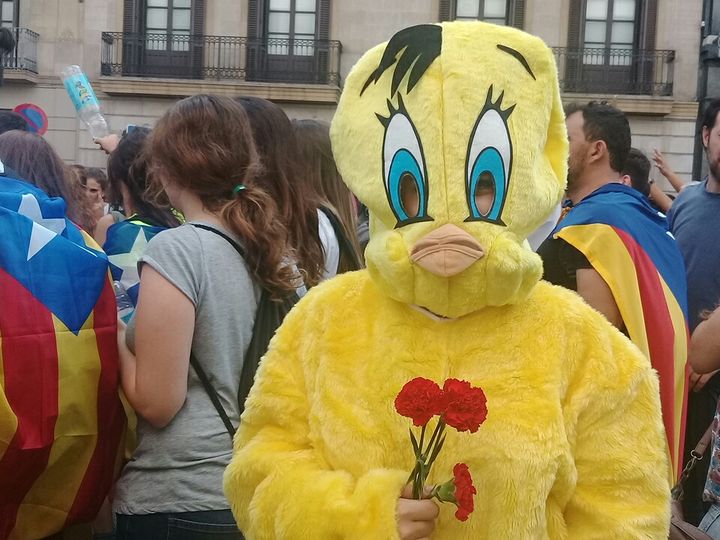 Une manifestante déguisée en "Piolin", le nom espagnol du canari de "Titi et Grosminet",&nbsp;des&nbsp;œillets à la main, à Barcelone (Espagne), le 3 octobre 2017. (RAPHAEL GODET / FRANCEINFO)