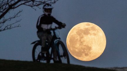 Un enfant roule à vélo en pleine ascension de la Lune, le 7 avril 2020, à Hanovre (Allemagne). (JULIAN STRATENSCHULTE / DPA / AFP)