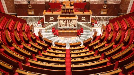 Les élections législatives se dérouleront les 11 et 18 juin 2017. (PHOTO12 / GILLES TARGAT / AFP)