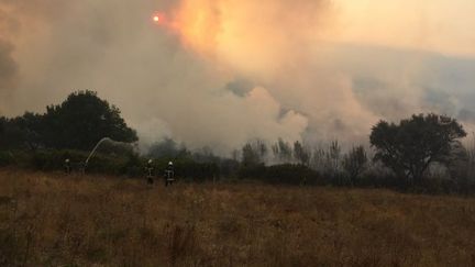 Des pompiers tentent d'&eacute;teindre le feu, autour de Barbaggio (Haute-Corse), le 25 ao&ucirc;t 2016. (ERWAN SCHIEX / FRANCE 3 VIASTELLA)