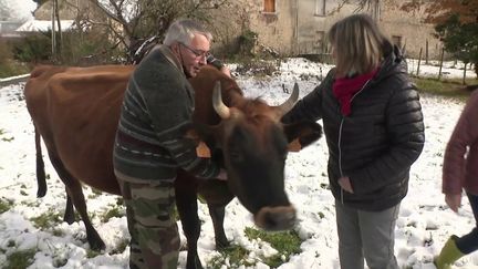 Creuse : plusieurs habitants adoptent une vache pour produire leur propre lait