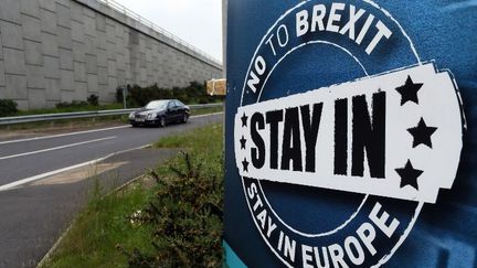 Panneau anti-Brexit près de Belfast. (Paul Faith AFP)