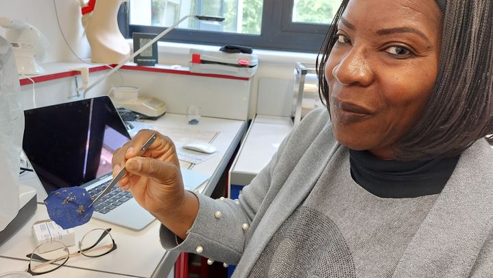 Berthine Toubaté has been studying lice for 20 years in her laboratory. (SOLENNE LE HEN / RADIO FRANCE)