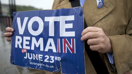 Un partisan du maintien du Royaume-Uni dans l'Union europ&eacute;enne fait campagne &agrave; Londres, le 20 juin 2016. (JUSTIN TALLIS / AFP)