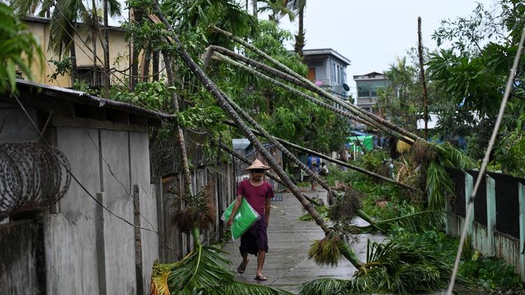 Trees in the streets of Kyauktaw, Burma, after Cyclone Mocha hit on May 14, 2023. (SAI AUNG MAIN / AFP)