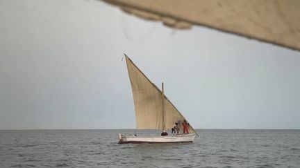 Mauritanie : les derniers pêcheurs à voile menacés par la pêche intensive