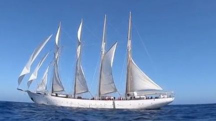 L'armada de Rouen (Seine-Maritime) rassemble chaque année les plus beaux bateaux du monde. Le 6e édition prévue à partir du 6 juin accueillera le joyau de la "Santa Maria Manuela", un voilier portugais voué à la destruction et qui propose aujourd'hui des croisières touristiques. (FRANCE 3)