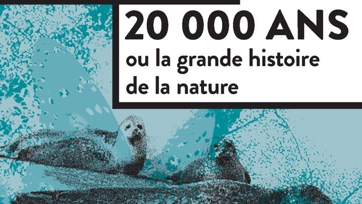 "20 000 ans ou la grande histoire de la nature", S. Durand (Actes Sud, collection Mondes sauvages)