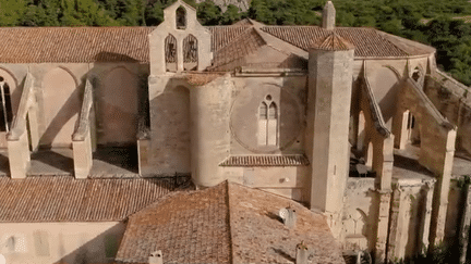 Chemins de traverse : l'abbaye de Valmagne