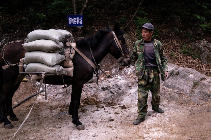 Ouvriers transportant sur des mules le matériel qui doit servir à restaurer demanière traditionnelle les parties endomagées de la Grande muraille de Chine, ici à&nbsp;Xiangshuihu,&nbsp;dans le&nbsp;district de&nbsp;Huairou, dans la banlieue de Pekin (19 mai 2019) (FRED DUFOUR / AFP)