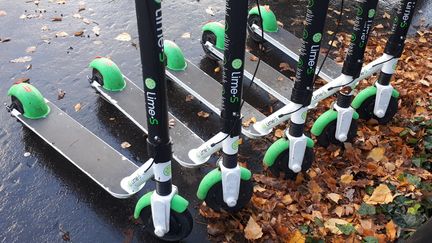 Des trottinettes électriques en libre service dans une rue de Paris. (STÉPHANIE BERLU / RADIO FRANCE)