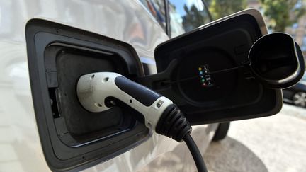 Prise de rechargement de véhicule électrique. Photo d'illustration. (MAXPPP)