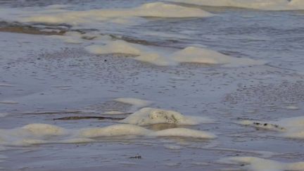 Pas-de-Calais : la plage de Wissant déconseillée à la baignade car trop polluée selon une étude (France 2)