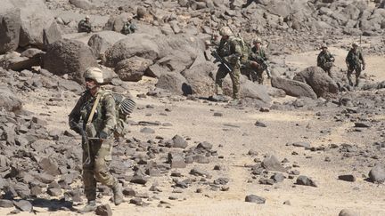 Des soldats fran&ccedil;ais, le 8 mars 2013, dans le massif des Ifoghas (Mali). (ARNAUD ROINE / AFP)