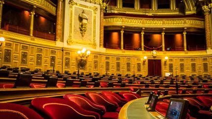 L'hémicycle du Sénat au Palais du Luxembourg à Paris. (JEAN-FRANÇOIS FERNANDEZ / RADIO FRANCE)