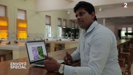 "C'est un crime contre l'humanité" : le scientifique dont l'étude a motivé l'interdiction du glyphosate au Sri Lanka dénonce l'industrie agrochimique