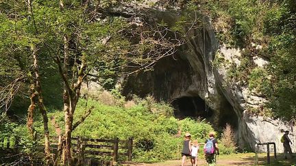 La Gourgue d'Asque est un lieu insolite : une gorge étroite au cœur des Hautes-Pyrénées où la végétation ressemble à celle d'une jungle tropicale.&nbsp; (CAPTURE D'ÉCRAN FRANCE 3)