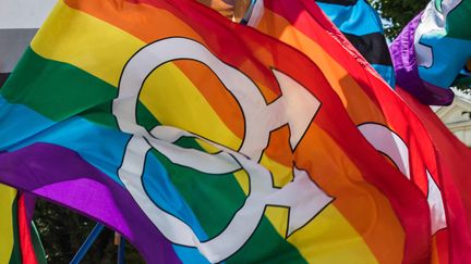 Un drapeau LGBT lors de la Marche des fiertés à Rennes, le 8 juin 2019. (MAUD DUPUY / HANS LUCAS)