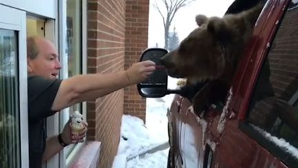 Un ours mange une crème glacée dans un drive-in depuis une voiture, le 14 janvier 2018, dans l'Alberta (Canada). (DISCOVERY WILDLIFE PARK / FACEBOOK)