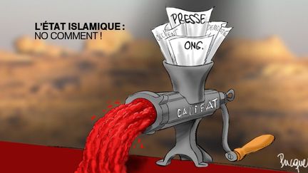 L'organisation djihadiste l'Etat islamique a été au centre des discussions au Sommet de l'Otan de Newport, au Pays de Galles, après que ses militants ont décapité James Folley et Steven Sotloff. Et qu'ils menacent de tuer un humanitaire britannique. (Franck Pucques)