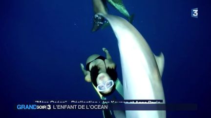 Cinéma : elle vit sa grossesse au milieu des dauphins