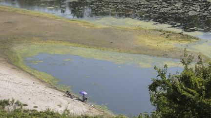 Un homme pêche dans les eaux peu profondes du Danube après la sécheresse extrême qui a touché Giurgiu, en Roumanie, le 20 août 2022. (ALEXANDRA RADU / ANADOLU AGENCY / AFP)