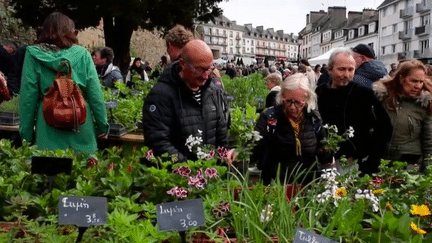 Commerce : les bourses de plantes, un bon plan pour acheter moins cher ?