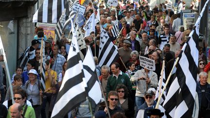 Manifestation &agrave; Quimper (Finist&egrave;re)&nbsp;pour la sauvegarde et la d&eacute;fense du breton, le 31 mars 2012. (FRED TANNEAU / AFP)