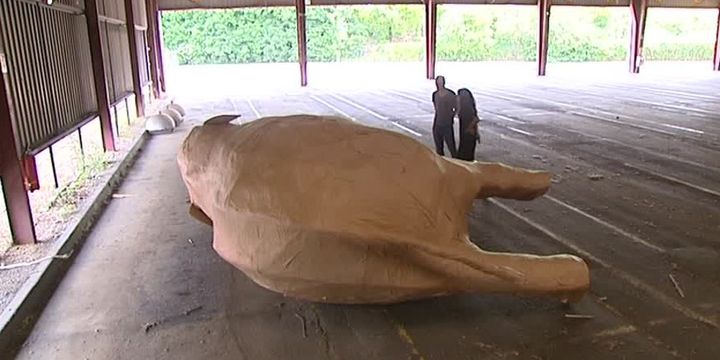 L'éléphant imposant du projet Création
 ( France 3 / Culturebox / capture d&#039;écran)