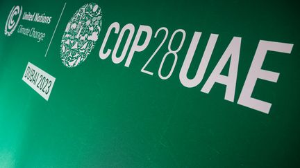 COP28 in Dubai (United Arab Emirates).  (GIUSEPPE CACACE / AFP)