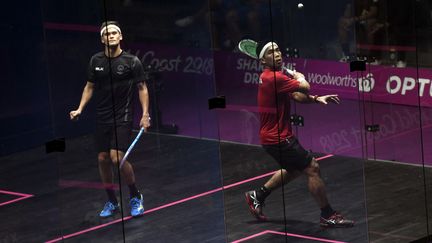 Des championnats du monde de squash, prévus du&nbsp;7 au 12 décembre à Kuala Lumpur, sont annulés. (WILLIAM WEST / AFP)