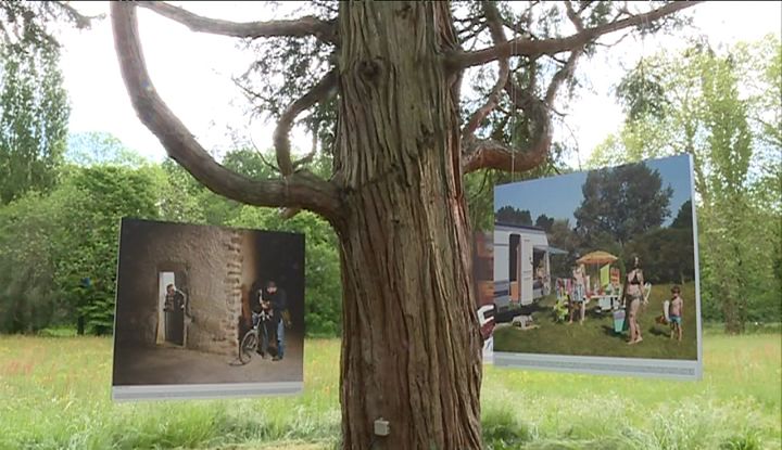 L'exposition s'installe au coeur des 13 hectares du parc de l'abbaye royale.&nbsp; (V. Monnier / France 3)