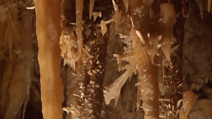 Grottes de Maxange : une stalactite vieille de milliers d’années dégradée (France 2)