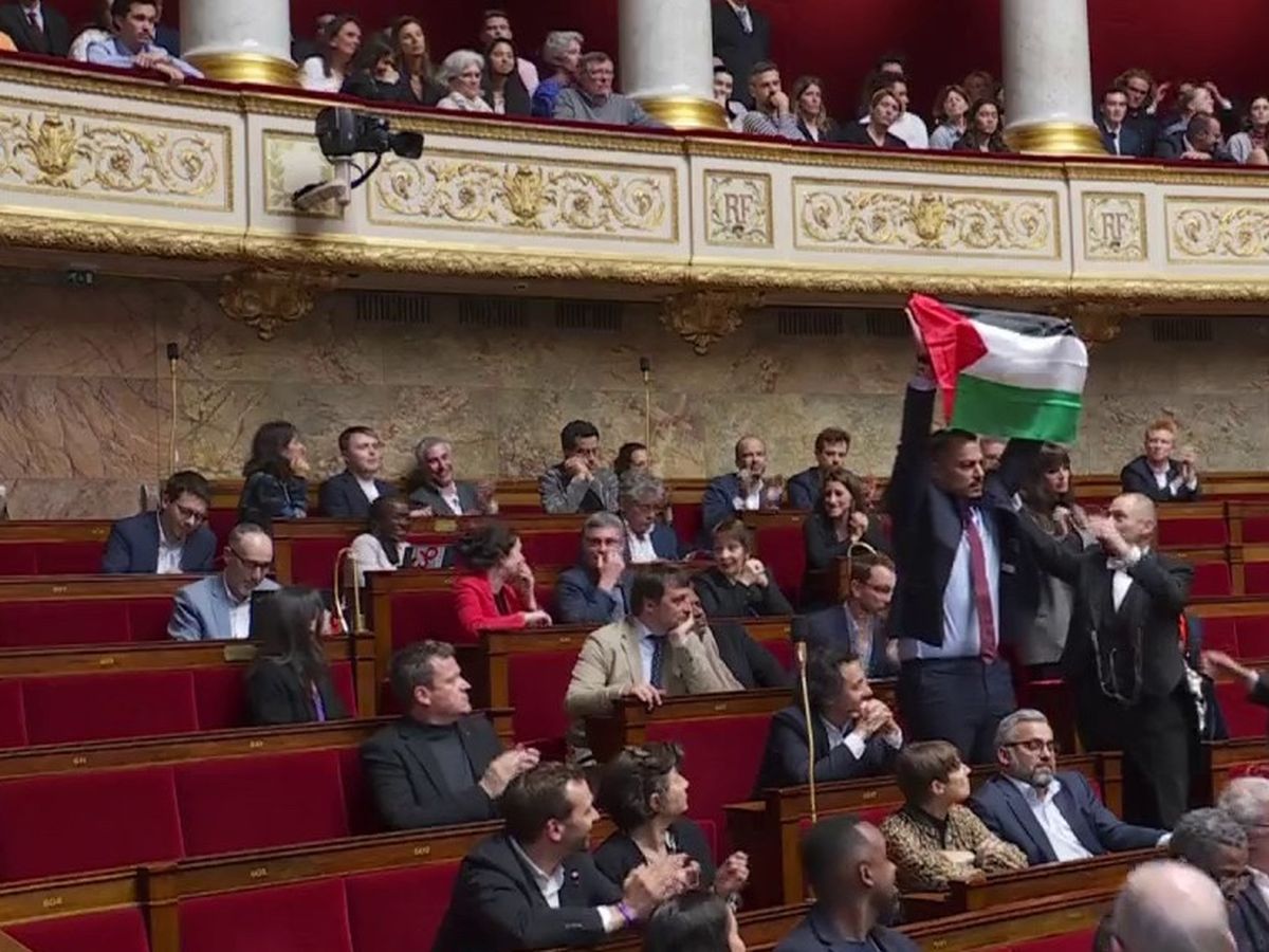 LFI representative raises the flag of Palestine in the National Assembly