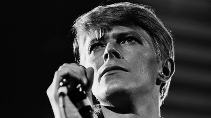 Le regretté David Bowie (ici en 1978), disparu le 10 janvier 2016, à l'âge de 69 ans.
 (George Rose / Getty Images)