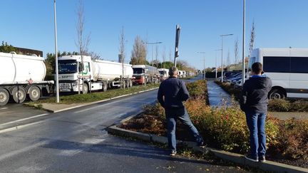 Des dizaines de camions-citernes en file indienne aux abords des dépôts de carburants de La Pallice à La Rochelle, vendredi 29 novembre 2019. (JULIEN FLEURY / RADIO FRANCE)