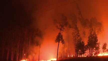 Le Portugal lutte contre des incendies ravageurs qui ont brûlé des milliers d'hectares. De nombreux pompiers sont mobilisés et une dizaine de villages ont été évacués. (France 2)