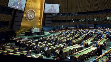 L'Assembl&eacute;e g&eacute;n&eacute;rale de l'ONU, &agrave; New York,&nbsp;le 20 f&eacute;vrier 2013. (EDUARDO MUNOZ / REUTERS)