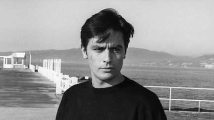 À ses débuts, vers 22 ans, Alain Delon était extrêmement beau. Pensez à "Rocco et ses frères" et "Plein Soleil" de René Clément, qui l'a hissé au rang d'icône. Mais contre toute attente, cette beauté semble encore un cran au-dessus lorsqu'il atteint la trentaine, au mitan des années 1960, dans "Mélodie en sous-sol", "Le Guépard" ou "Les Félins". (Alain Delon dans "Mélodie en sous-sol" de Henri Verneuil, 1963. MARCEL DOLE / MARCEL DOLE / AFP)