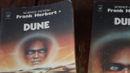 Culture : pourquoi le livre de science-fiction "Dune" est-il devenu culte ? (France 2)