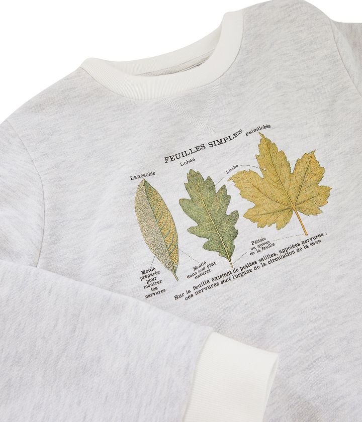 Deyrolle et Petit Bateau se retrouvent le temps d’une collection capsule pour mettre en lumière un écosystème qui leur est cher, celui des forêts de l’hémisphère Nord.&nbsp; (Julie Weaves et lafamilledesloups)