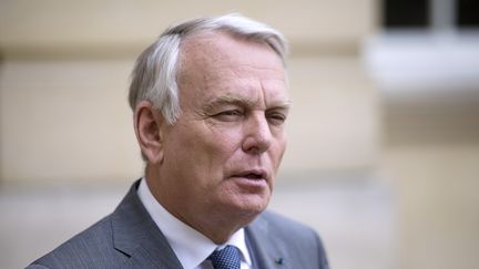 Le Premier ministre, Jean-Marc Ayrault, le 3 juin 2013 sur le perron de Matignon, &agrave;&nbsp;Paris. (FRED DUFOUR / AFP)