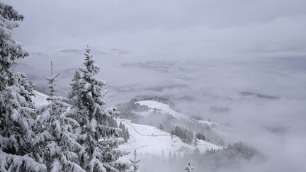 Le brouillard empêche la tenue de la course (ALEXANDER KLEIN / AFP)