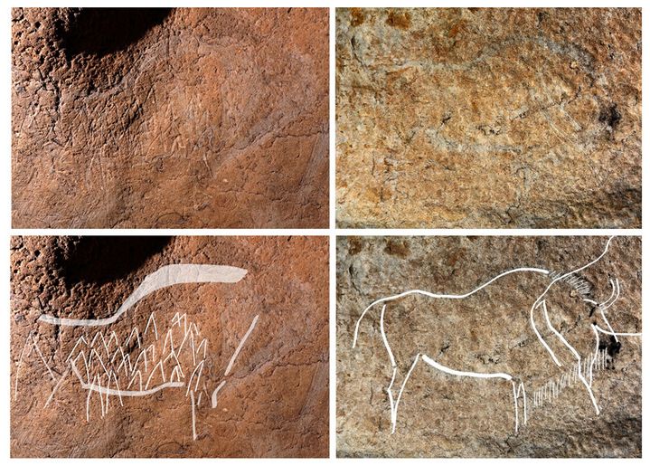 Bisons dans la grotte d'Atxurra (24 mai 2016)
 (Diputacion foral de Bizkaia / AFP)