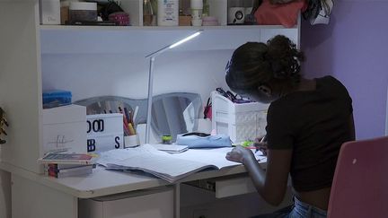 De plus en plus de jeunes étudiants martiniquais décident de quitter leur île afin d'aller étudier en France métropolitaine ou à l'étranger. Une situation compréhensible pour les plus anciens. (FRANCE 3)