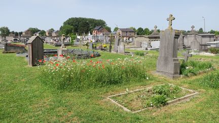 Le cimetière de Noville-les-Bois, en Wallonie, dans la province de Namur. (ISABELLE MORAND / M. APPELDOORN / RADIO FRANCE / FRANCE INFO)