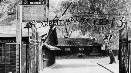 Entrée du camp d'Auschwitz en 1945. Le camp a été libéré par les troupes soviétiques le 27 janvier 1945. (AFP)