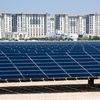 Une centrale solaire à Abou Dhabi, aux Emirats arabes unis, le 21 mars 2022. (BERND VON JUTRCZENKA / DPA / AFP)