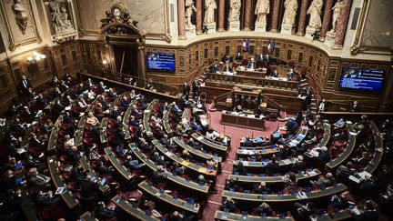 Le Sénat lors d'une session de questions au gouvernement, le 10 mars 2021, à Paris. (ANTONIN BURAT / HANS LUCAS / AFP)