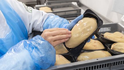 Un bloc de foie gras dans une chaîne de production française.&nbsp; (VINCENT ISORE / MAXPPP)